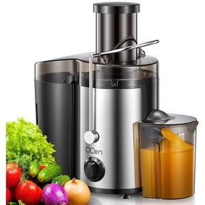 Stainless Steel Juicer with Black Accents